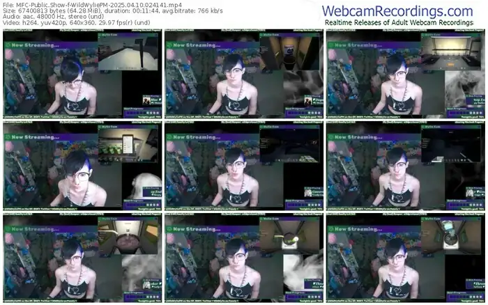 myfreecams-wildwyliepm-04-10-2025-02-41-41