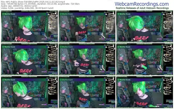 myfreecams-wildwyliepm-04-11-2025-01-14-19