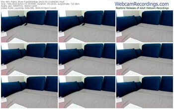 myfreecams-swtalterego-04-13-2025-04-43-41