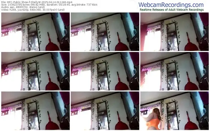 myfreecams-shellyw-04-14-2025-01-12-46