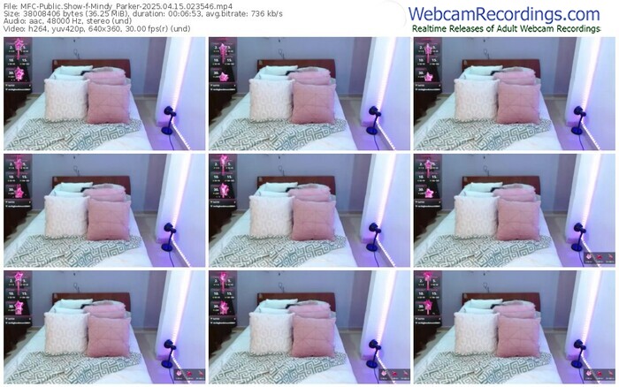 myfreecams-mindy_parker-04-15-2025-02-35-46