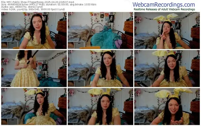 myfreecams-tiggerrosey-04-20-2025-22-45-37