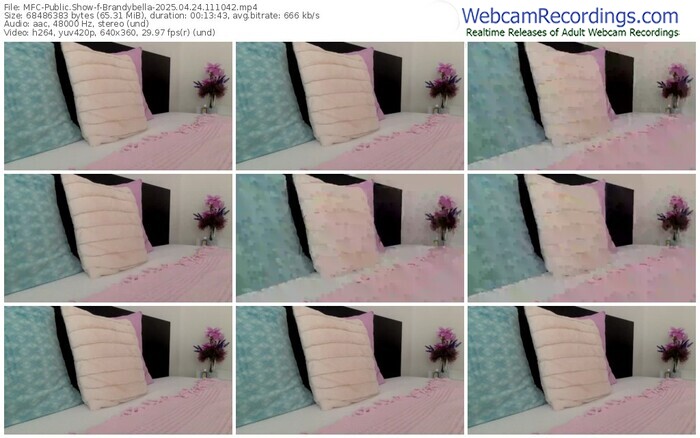 myfreecams-brandybella-04-24-2025-11-10-42