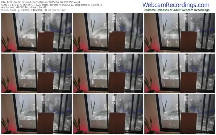 myfreecams-pinchediosa-04-26-2025-15-29-56