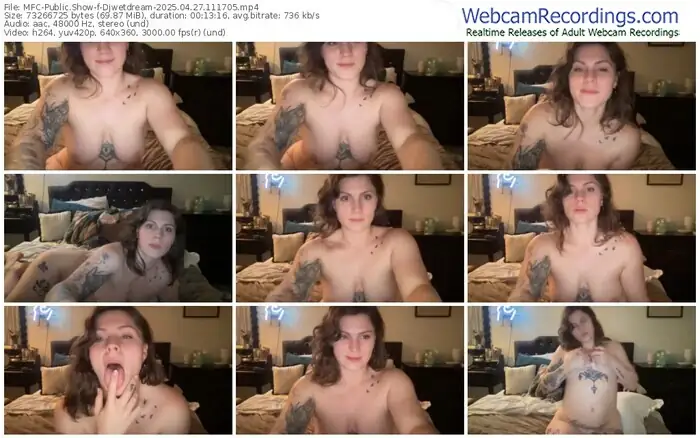 myfreecams-djwetdream-04-27-2025-11-17-05