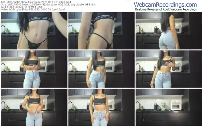 myfreecams-kattgalle-05-01-2025-01-23-23