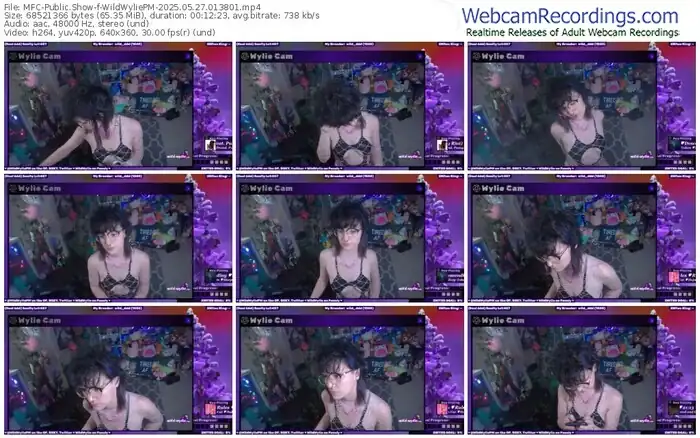 myfreecams-wildwyliepm-05-27-2025-01-38-01