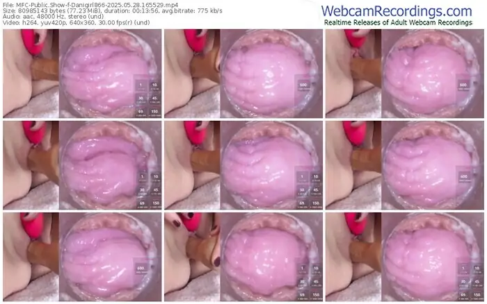 myfreecams-danigirl866-05-28-2025-16-55-29