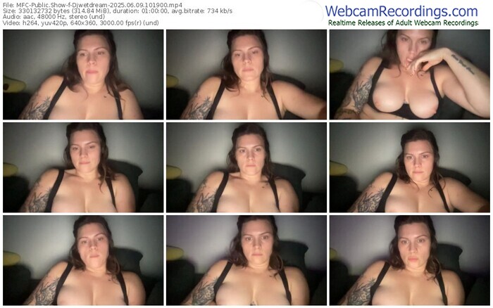 myfreecams-djwetdream-06-09-2025-10-19-00