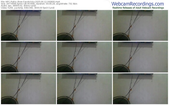 myfreecams-exoticlulu-06-12-2025-09-38-00