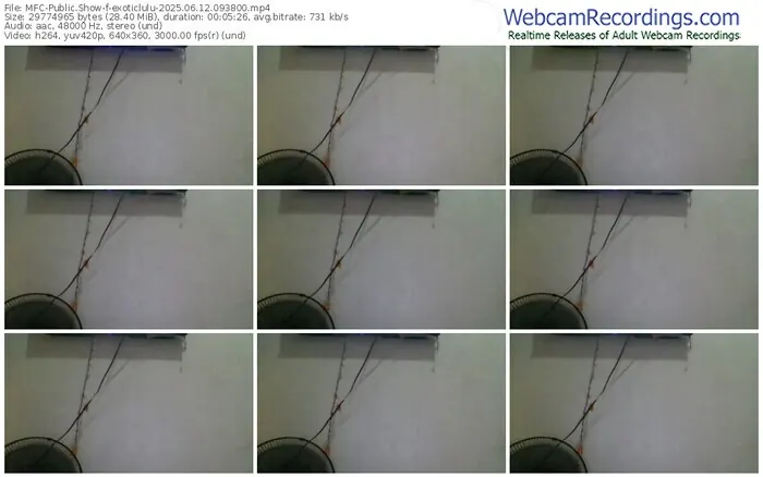 myfreecams-exoticlulu-06-12-2025-09-38-00