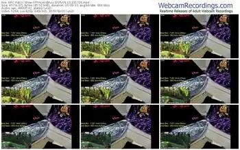 myfreecams-princessbluu-06-13-2025-23-17-26