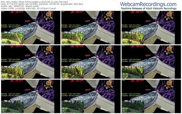 myfreecams-princessbluu-06-13-2025-23-17-26