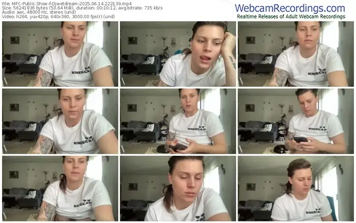 myfreecams-djwetdream-06-14-2025-22-21-39