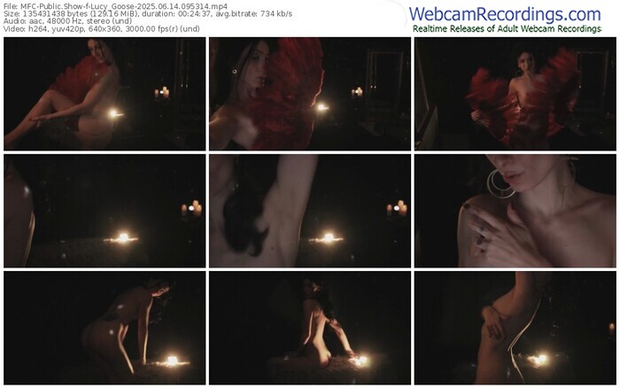 myfreecams-lucy_goose-06-14-2025-09-53-14