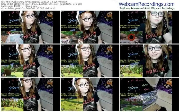 myfreecams-princessbluu-06-14-2025-02-57-49