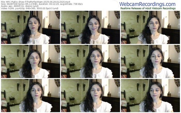 myfreecams-theperfectnam-06-29-2025-01-23-20