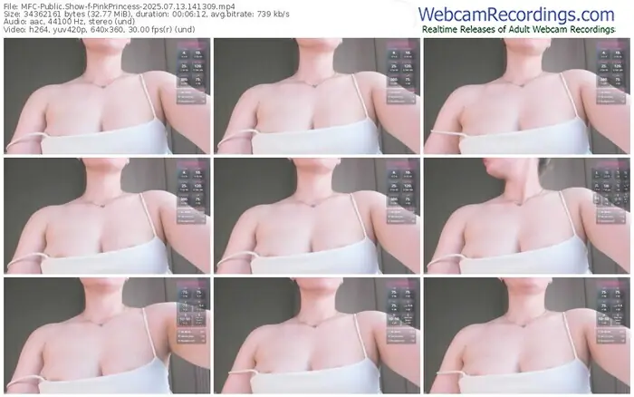 myfreecams-pinkprincess-07-13-2025-14-13-09