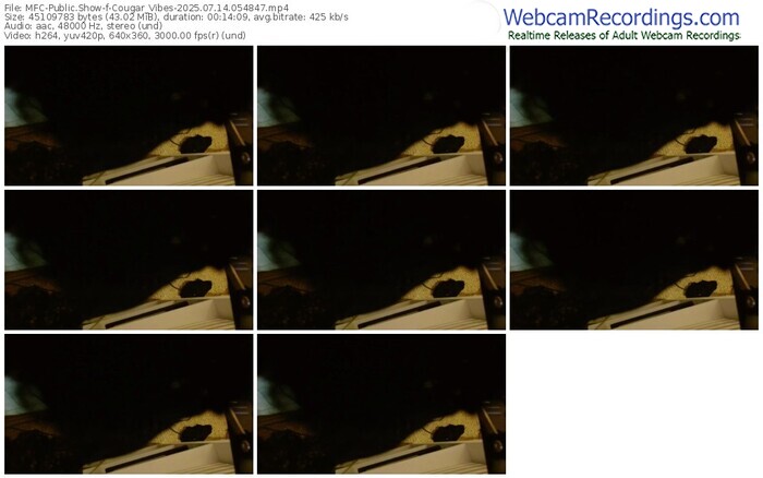 myfreecams-cougar_vibes-07-14-2025-05-48-47