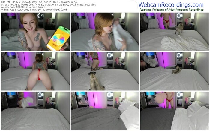myfreecams-lizzysmallz-07-29-2025-02-44-22