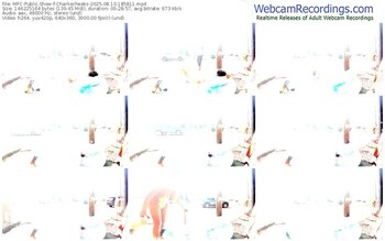 myfreecams-charliecheeks-08-10-2025-18-58-11