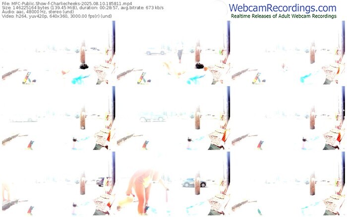 myfreecams-charliecheeks-08-10-2025-18-58-11