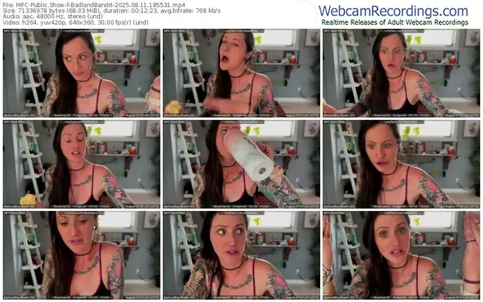 myfreecams-badlandbandit-08-11-2025-18-55-31