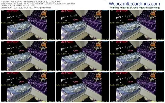 myfreecams-princessbluu-08-11-2025-21-08-26