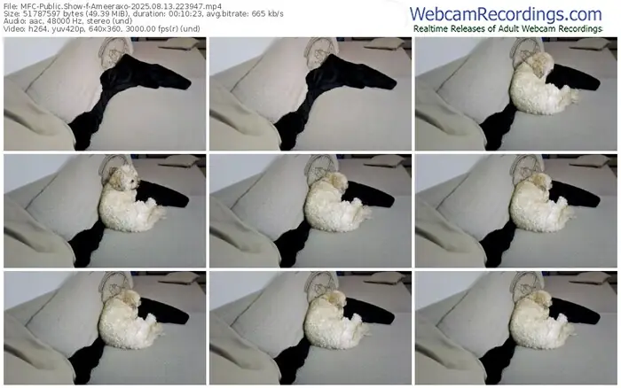 myfreecams-ameeraxo-08-13-2025-22-39-47