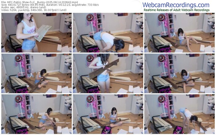 myfreecams-lil__bunny-08-14-2025-20-39-42