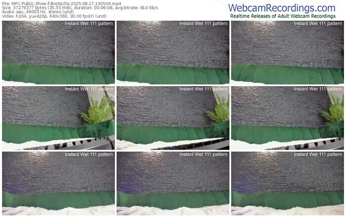 myfreecams-boobzilla-08-17-2025-19-35-04