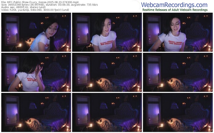 myfreecams-lucy_goose-08-23-2025-07-43-00