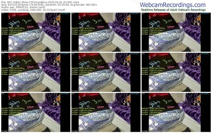 myfreecams-princessbluu-09-01-2025-21-16-01