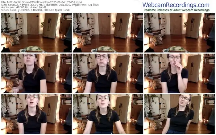 myfreecams-wildflowerem-09-04-2025-17-36-52