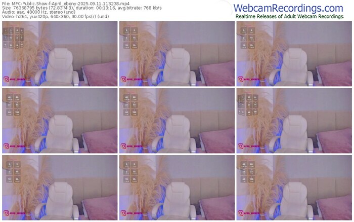 myfreecams-april_ebony-09-11-2025-11-32-38
