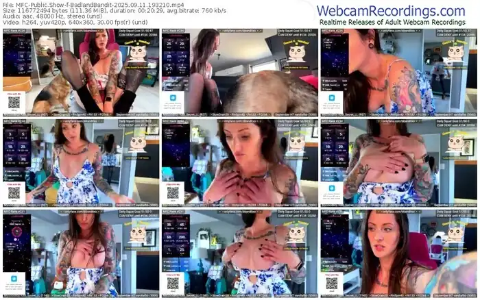 myfreecams-badlandbandit-09-11-2025-19-32-10