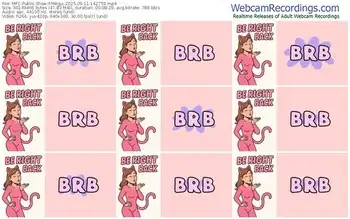 myfreecams-megui-09-11-2025-14-27-53