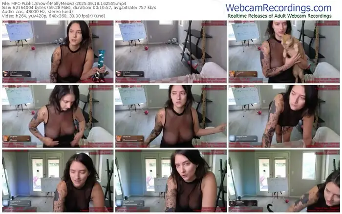 myfreecams-mollymeowz-09-18-2025-16-25-55