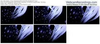 myfreecams-bambidoll00-09-29-2025-06-16-47