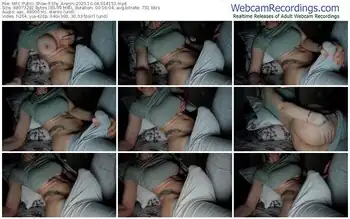 myfreecams-shy_arwyn-10-04-2025-01-41-53