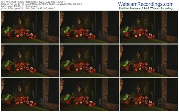 myfreecams-rocknrose-10-12-2025-03-57-16