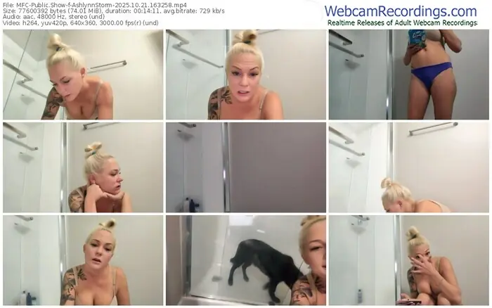 myfreecams-ashlynnstorm-10-21-2025-16-32-58