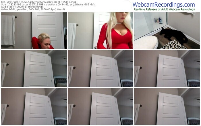 myfreecams-ashlynnstorm-10-31-2025-19-51-17