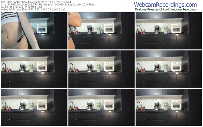 myfreecams-kattgalle-11-01-2025-02-01-36