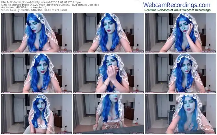 myfreecams-skettylurker-11-01-2025-01-17-03