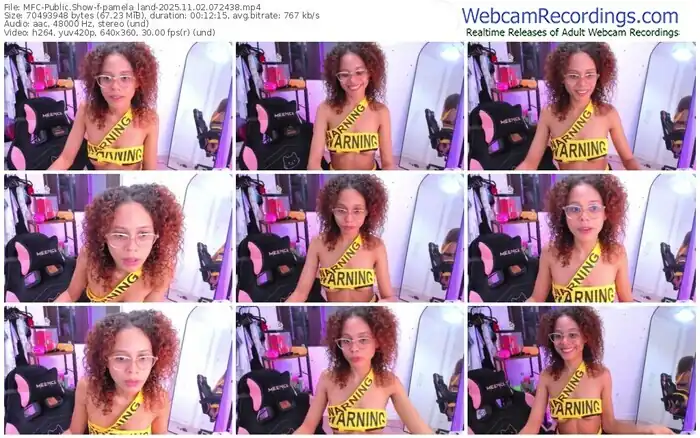 myfreecams-pamela_land-11-02-2025-07-24-38