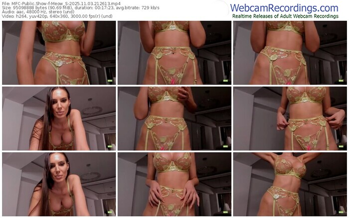 myfreecams-meow_s-11-03-2025-21-26-13
