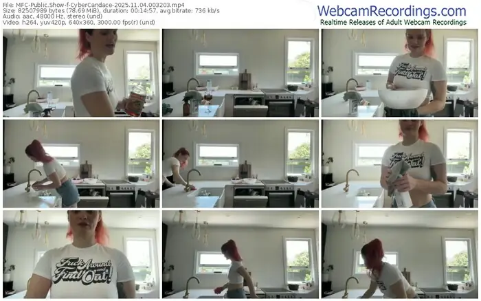 myfreecams-cybercandace-11-04-2025-00-32-03