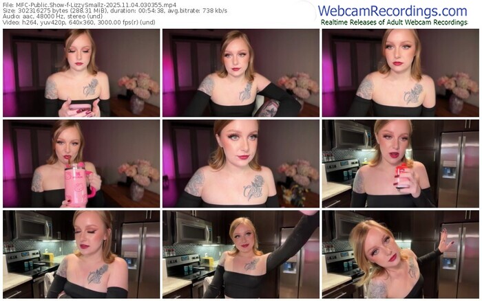 myfreecams-lizzysmallz-11-04-2025-03-03-55