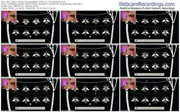 myfreecams-aspeneden-11-07-2025-03-35-49